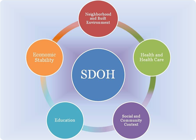 Infographic of the Social Determinants of Health, which includes 