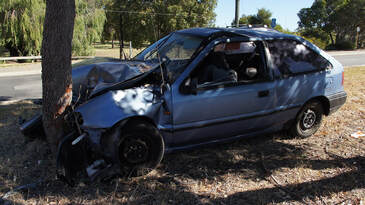 A small, two-door car that crashed head-on into a tree on the side of the road